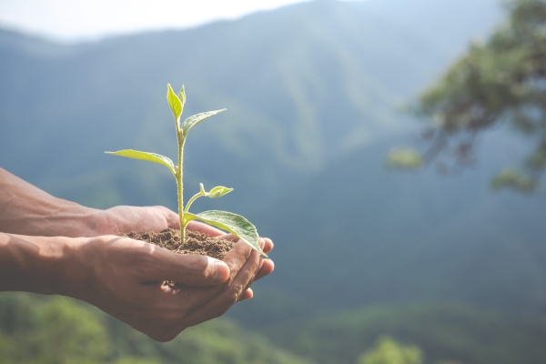 Sostenibilitat i Agenda 2030  /  FATEC